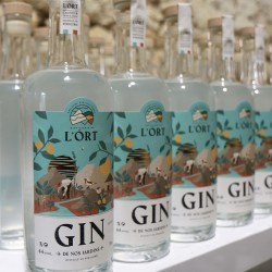 Gin de la Distillerie l'ORT 44% - 70cl