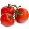 Vinaigre à la pulpe de tomate 25 cl