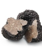 Truffes et champignons